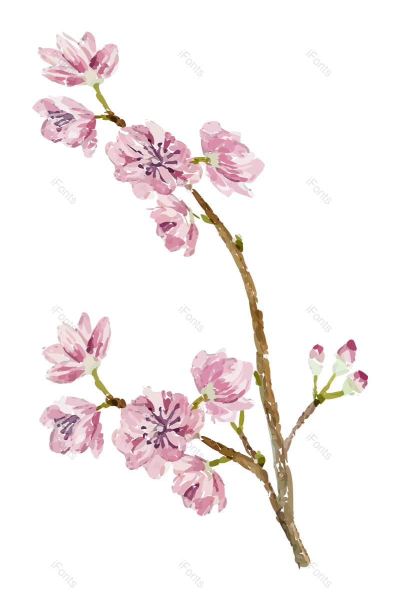 水墨图片,树枝元素,水墨画PNG,植物免抠素材